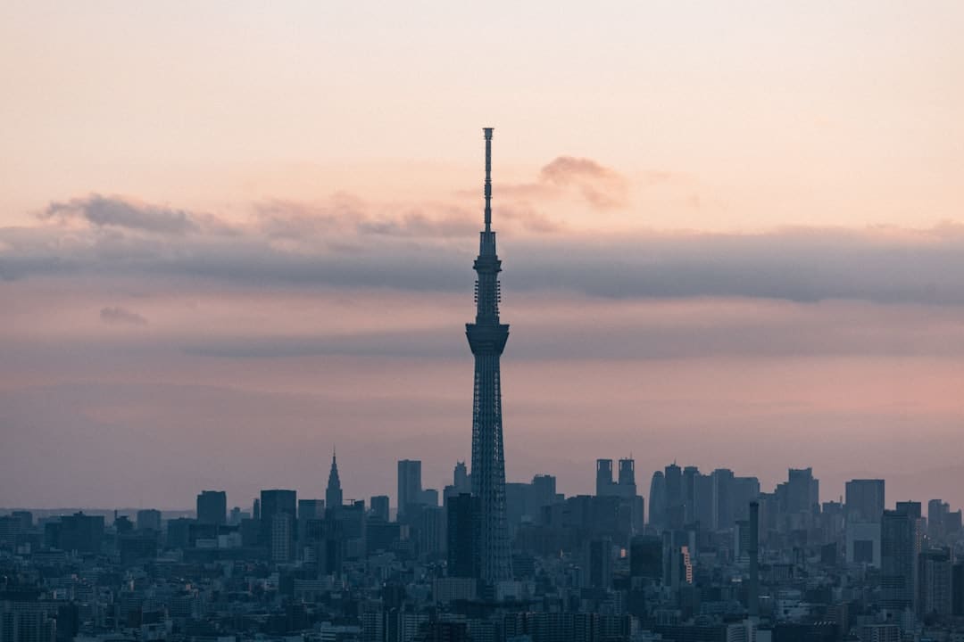 王星越白鹿联系解析：又爱又恨的宿舍日常引发热议